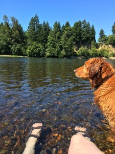 Bella the Dog and my leg