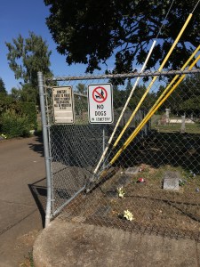 Salem Pioneer Cemetery