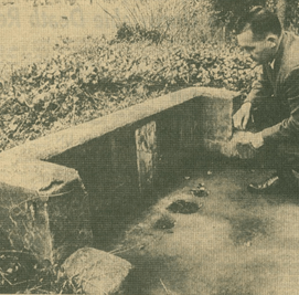 Chinese Shrine as it appeared in 1963
